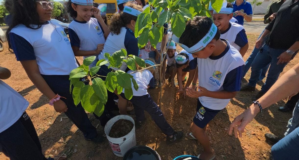 Foto: Giullia Moura – Secom Gurupi